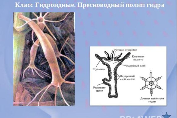 Можно ли вывести деньги с кракена