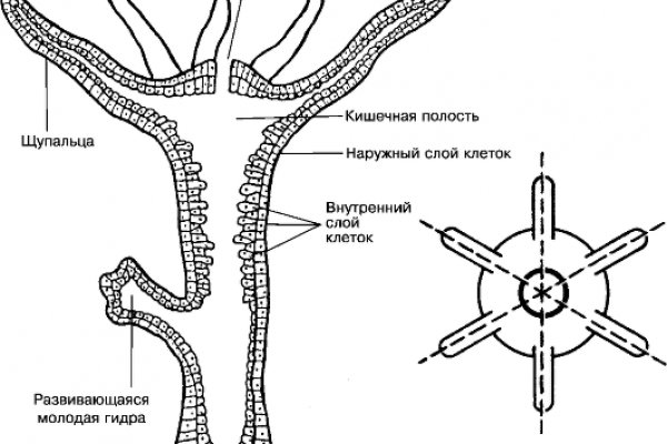 Кракен меф