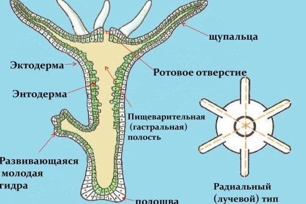 Услуги даркнета
