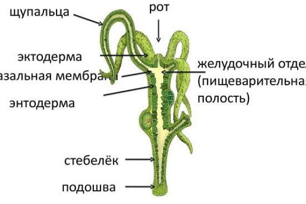 Кракен онион сайт io