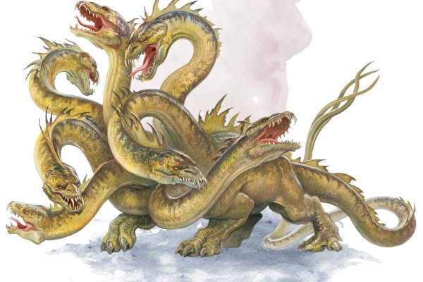 Kraken19 at