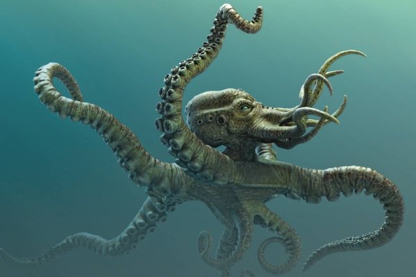 Ссылки зеркала на kraken kraken dark link